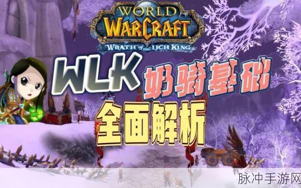 WLK怎样才能使贞数高:根据WLK提升贞数的方法与策略解析