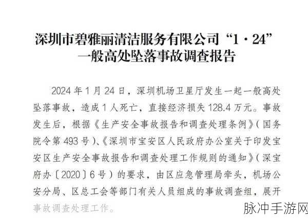深圳机场怎么了:1. 深圳机场近期变化带来的旅客影响分析