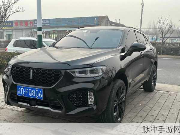 weyvv5国产的suv视频麻豆:1. "探索Wey VV5:国产SUV的全新驾驭体验