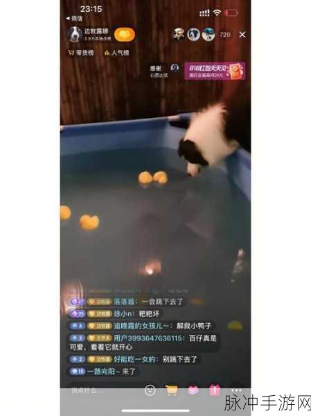 连线球球,脑力激荡的益智新宠,下载挑战你的智慧极限!