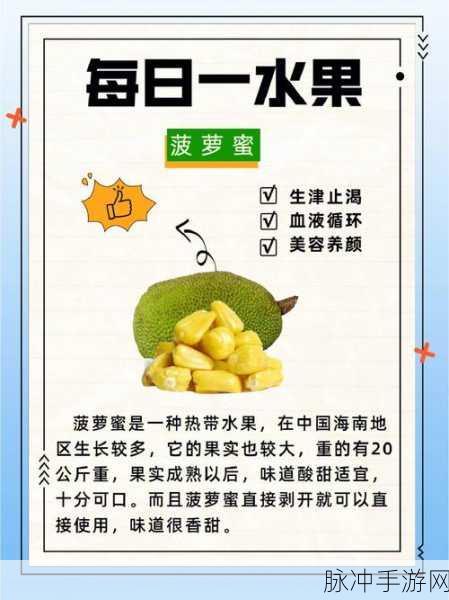 菠萝菠萝菠萝蜜免费在线:1. 菠萝菠萝蜜的甜蜜冒险之旅