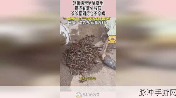二人生孩子不盖被子:1. 二人共筑温暖巢,孩子降临不盖被