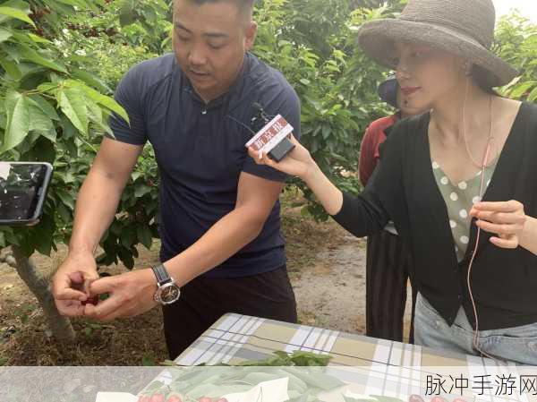 阴桃直播:1. 《阴桃直播:探索更深的互动体验