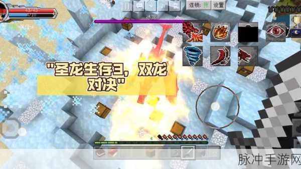 双龙1v2养兄:1. 双龙对决:兄弟情与战斗的碰撞