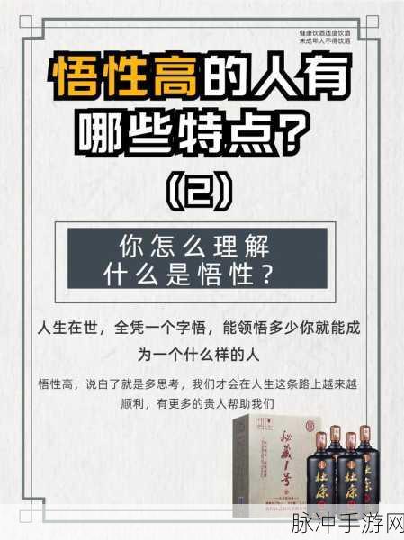 侠客风云传 悟性:1. 《侠客风云传:悟性与武道的终极对决