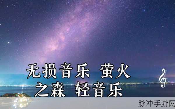 探秘夜之森，唯美冒险与心灵治愈的奇妙之旅