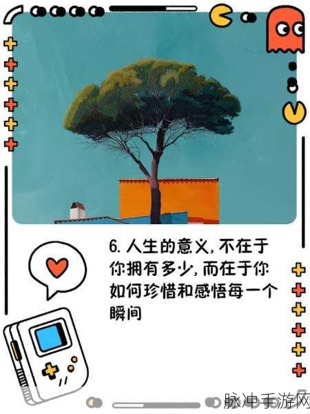 可不可以干湿你下笔愁:1. 在干湿交替中探寻人生的奥秘