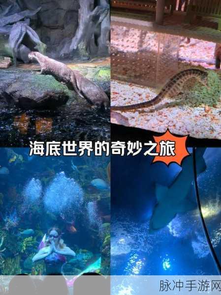 探索海底世界的奇妙之旅,精致画风休闲游戏等你来下载