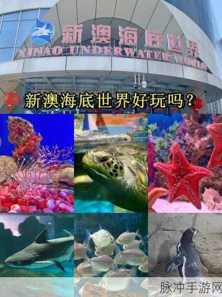 探索海底世界的奇妙之旅,精致画风休闲游戏等你来下载