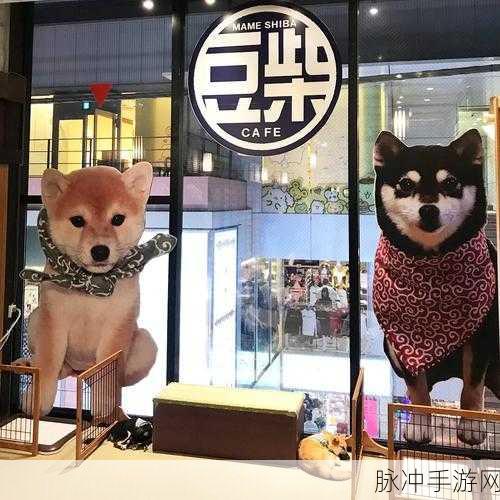 大白屁股网站:当然可以,以下是一些基于“大白屁股”主题的扩展标题建议: