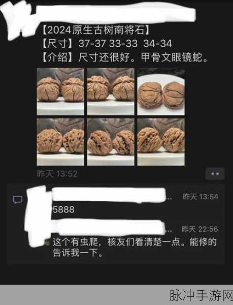 瓜圈:1. "揭秘瓜圈文化:从日常到热门现象的演变