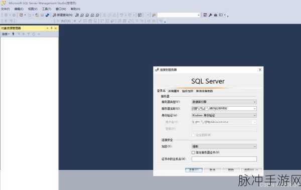日本Windows Server中文支持:如何在日本Windows Server上有效实现中文支持与配置指南
