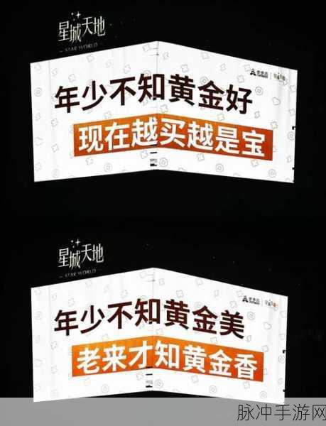 黄金网站app观看大全代码:1. 黄金交易新手必备:打造成功投资的完整指南