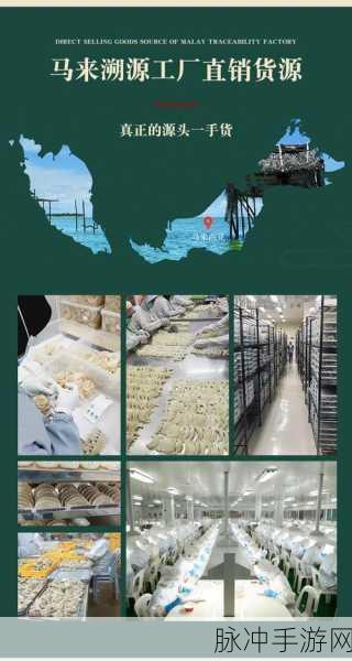99精品产国品产区免费看老师:1. 99精品产国与品产区的深度解析