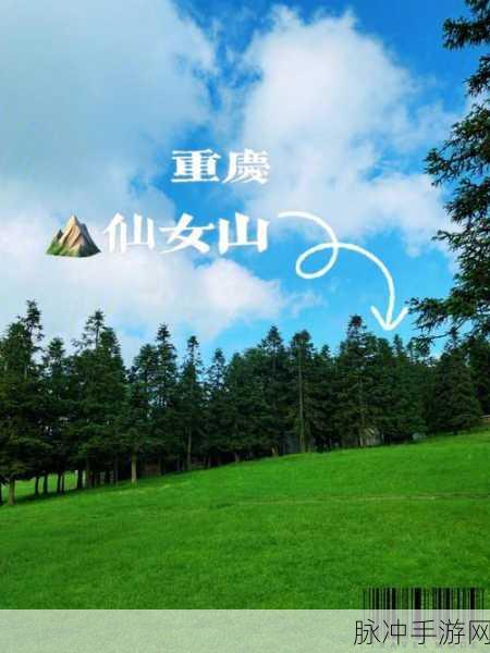 xzl仙踪林官网英文:1. "Discover the Enchanting World of XZL Fairy Forest Online
