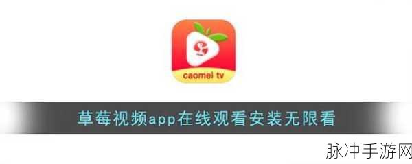 草莓破解无限量app:1. 破解草莓无限量APP,畅享无尽精彩体验