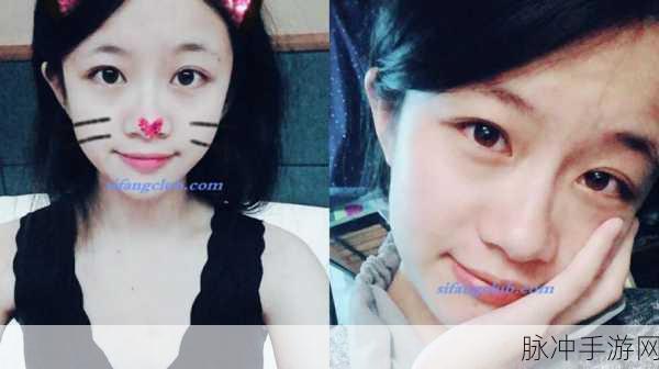 tai9.tv久久Y精品系列:当然可以,以下是一些扩展的标题建议:
