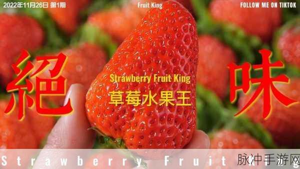 草莓视频哟哟:1. 草莓视频:带你探索未知的视界