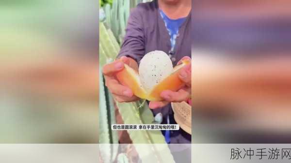 拔萝卜扑克不盖被子:1. 拔萝卜扑克:不盖被子的趣味挑战