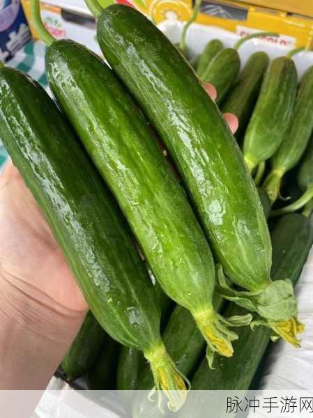 芒果茄子草莓丝瓜黄瓜香蕉绿巨人:1. “夏日水果与蔬菜的奇妙搭配”