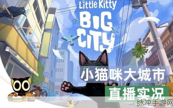 小猫咪大城市，正版手机版来袭，Steam端模拟器精彩再现