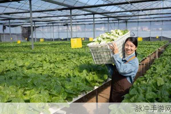 庆元吴建飞近期新闻:1. 吴建飞:引领庆元乡村振兴的新动能