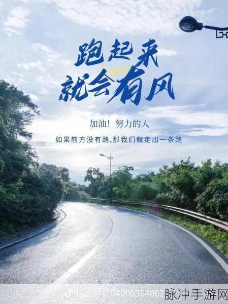人马配速45:1. 人马配速45:探索赛马的极限表现