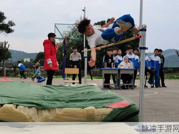 曲棍球大师震撼来袭,手机版下载,点燃你的运动激情!
