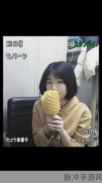 ▇菠萝视频▇在线观看视频：1. 菠萝视频：畅享高清影视的全新体验