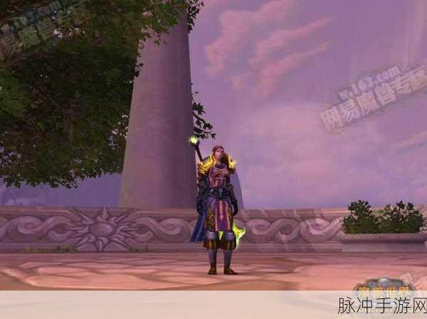 黑锋骑士团战袍：1. 黑锋骑士团战袍的荣耀与传承