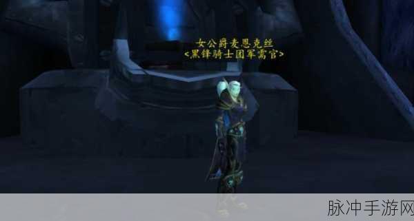 黑锋骑士团战袍：1. 黑锋骑士团战袍的荣耀与传承