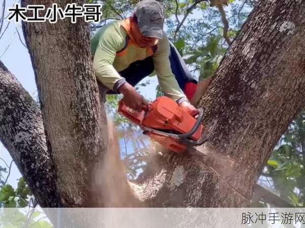 樵夫砍树达人,休闲时光里的伐木乐趣新升级