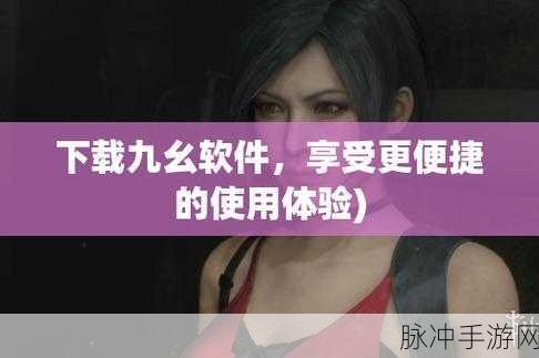 九幺高危风险9.1破解版安装:1. 九幺高危风险9.1破解版:破解与安全防范全解析