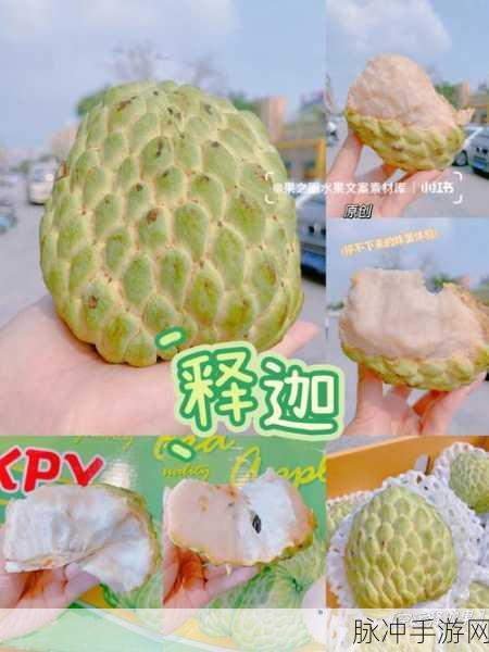 水果飞溅,连接消除新风尚,畅享指尖乐趣