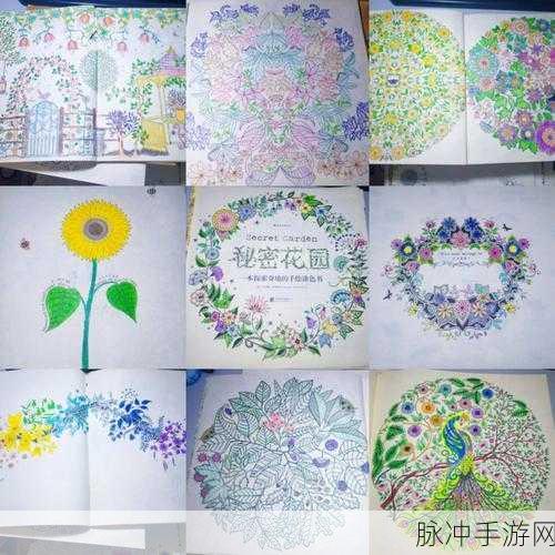秘密填色书，解锁休闲涂色新乐趣，闯关游戏新体验