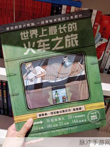 袖珍火车,开启你的趣味休闲铁路之旅