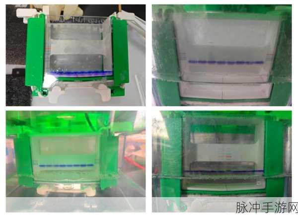 人马胶配方大全免费天气预报:1. 探索人马胶配方的多样性与应用技巧