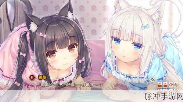 猫娘拔萝卜游戏:好的,这里有一些根据“猫娘拔萝卜”游戏拓展出的新