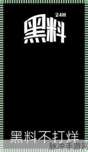 zztt87.ccm黑料不打烊:1. 黑料不打烊:揭露隐藏在网络背后的秘密