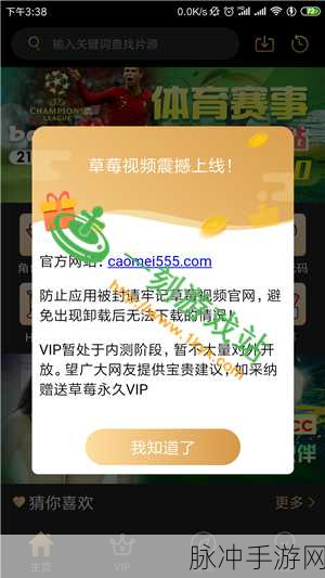 草莓视频h:当然可以!以下是一些扩展的标题示例: