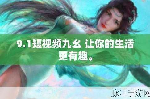 九幺9.1旧版安装无高危险:探索九幺9.1旧版安装的安全性与风险评估