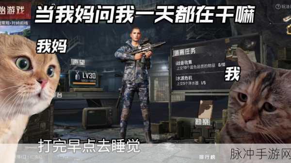 九幺9.1旧版安装无高危险:探索九幺9.1旧版安装的安全性与风险评估