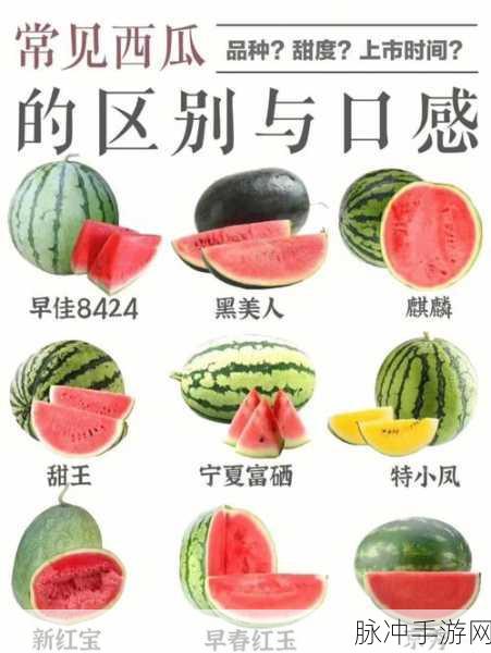 xgua黑料社区:1. 深入探索xgua黑料社区的秘密与魅力