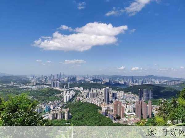 赛博朋克警笛长鸣任务:1. 赛博朋克世界中的警笛长鸣:未来城市的阴暗面