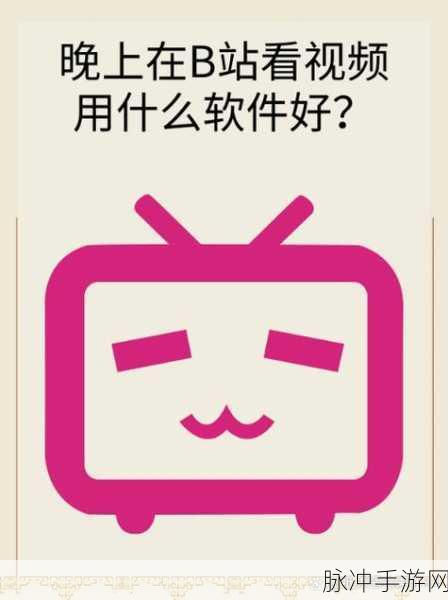 夜里18款禁用b站入App软件:1. 夜晚禁用B站,畅享无干扰的安静时光