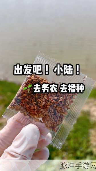 需要妈妈播种 美国：当然可以！以下是一些关于“根据需要妈妈播种”的新标题建议，每个标题都不少于10个字：