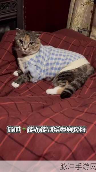 沙雕动物大乱斗,手机版肉搏激战,欢乐无极限!