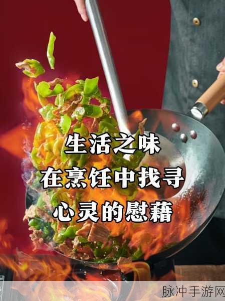 制作美食小当家,烹饪梦想,一指即达