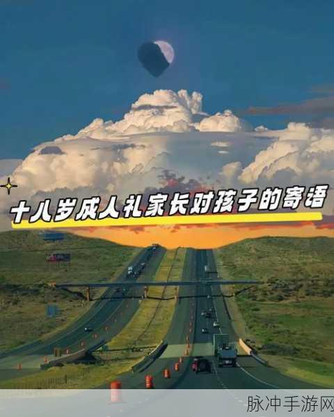 已满十八岁带好纸:1. "成年人的世界:十八岁后的责任与挑战