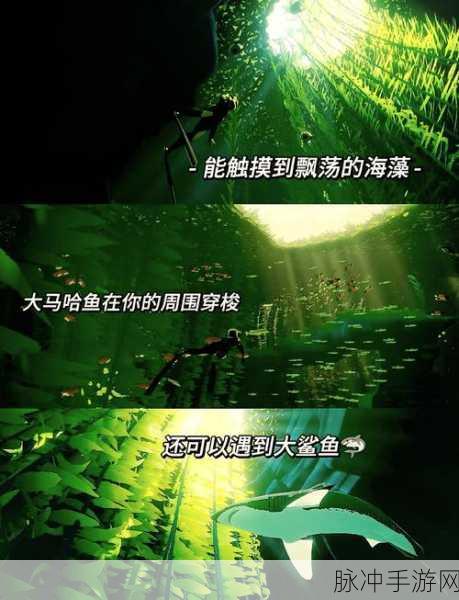 拜尔海姆在哪里:拜尔海姆:探索无尽可能性的创新之地